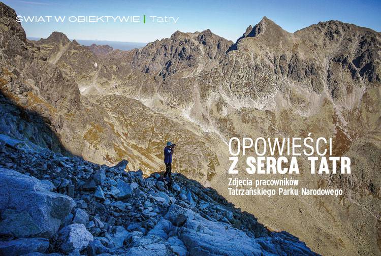 Losowy darmowy artykuł